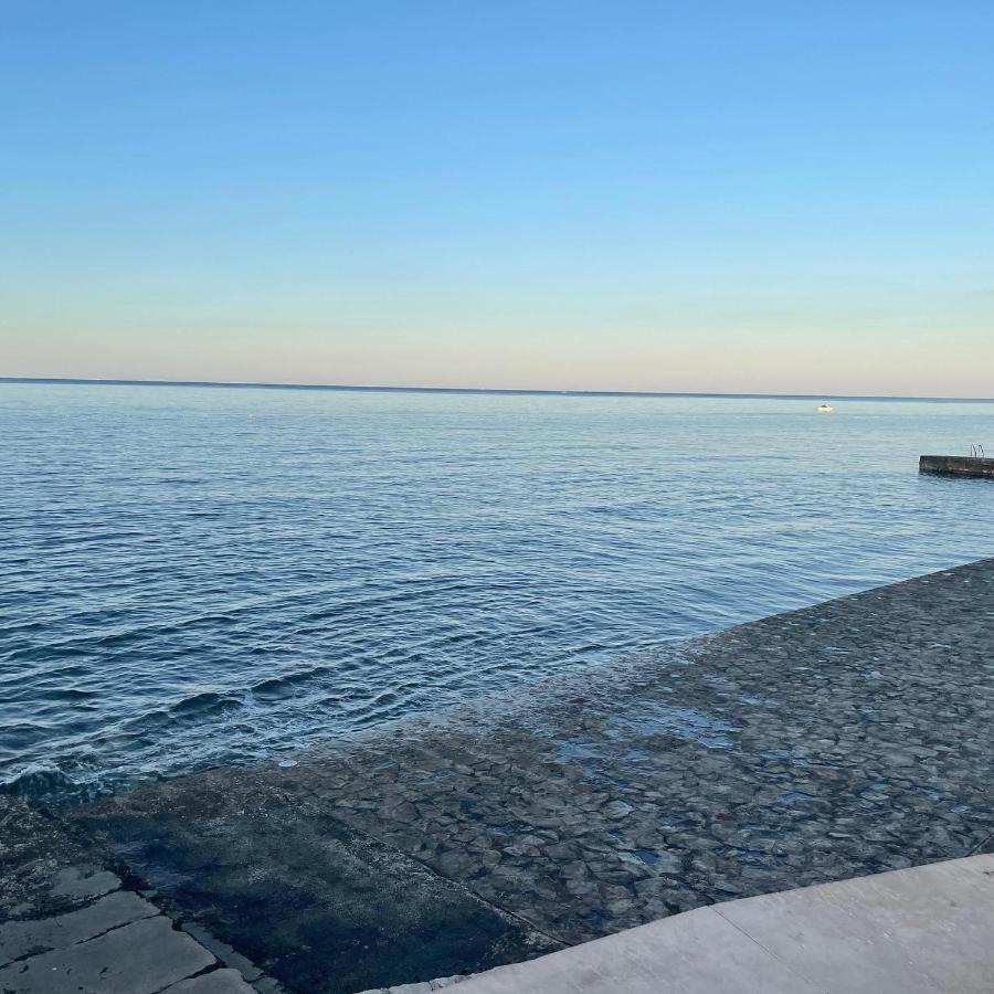 Ferienwohnung App Robi Novigrad Istria Exterior foto